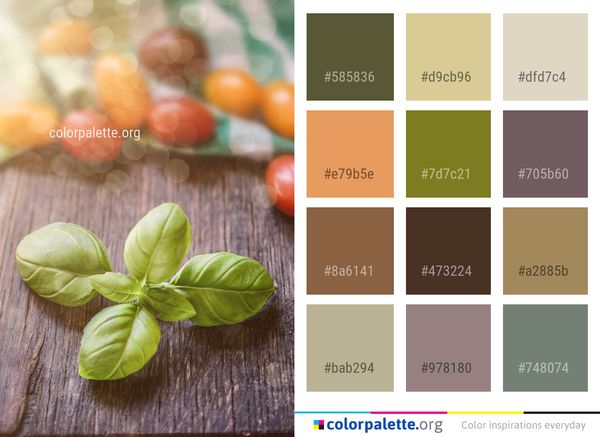 Natural Foods Vegetable Vegetarian Food Color Palette