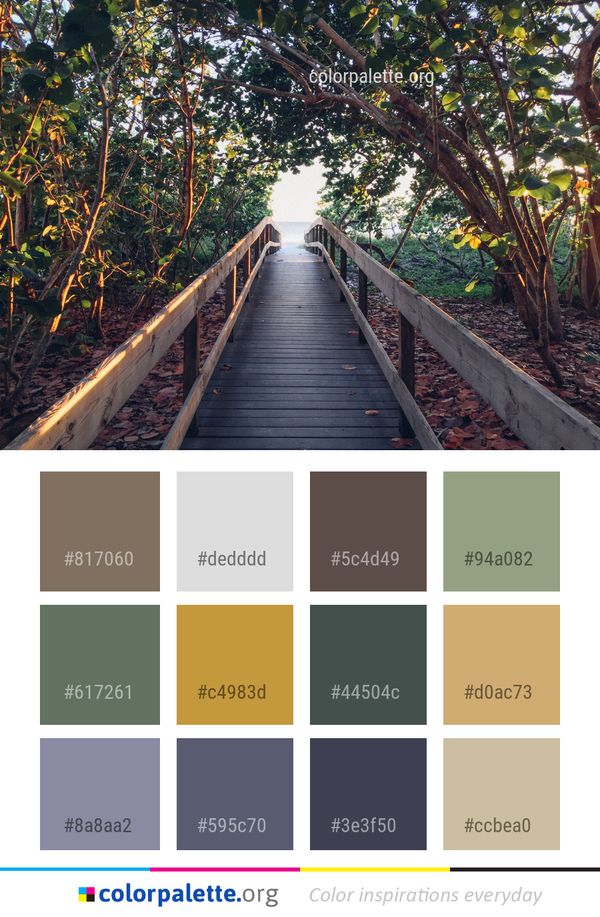 Nature Leaf Path Color Palette