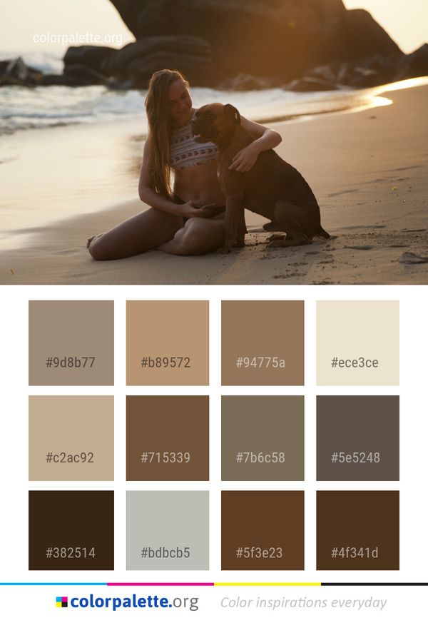 Photograph Dog Beach Color Palette
