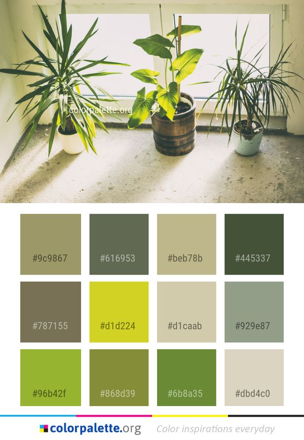 Plant Flowerpot Leaf Color Palette