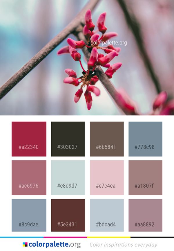 Red Pink Flora Color Palette