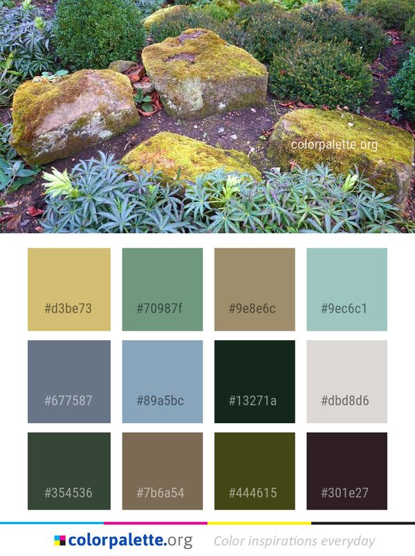 Rock Vegetation Garden Color Palette