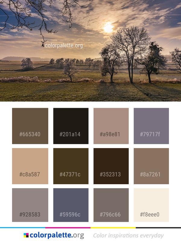 Sky Nature Tree Color Palette