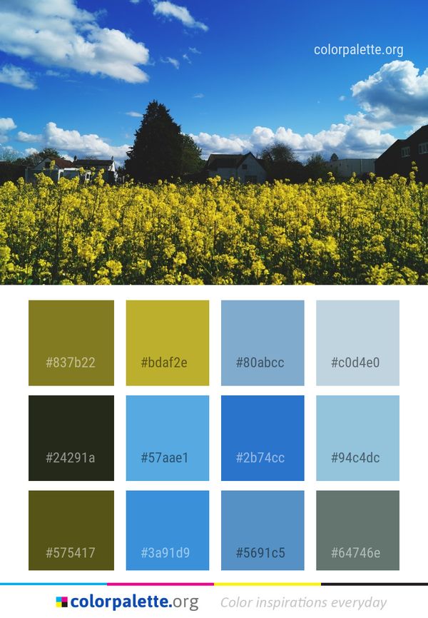 Sky Yellow Canola Color Palette