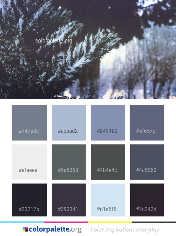 Tree Winter Nature Color Palette
