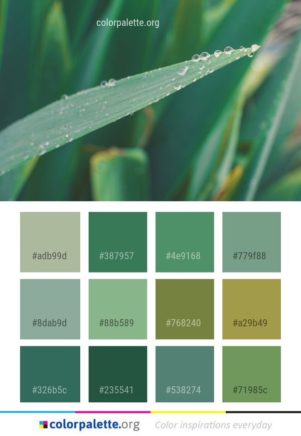 Water Dew Moisture Color Palette