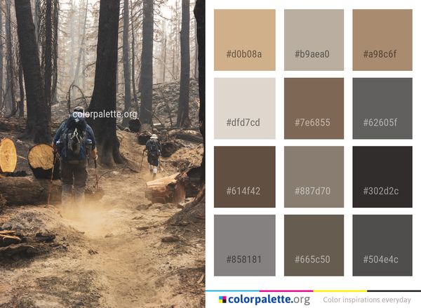 Wilderness Tree Path Color Palette