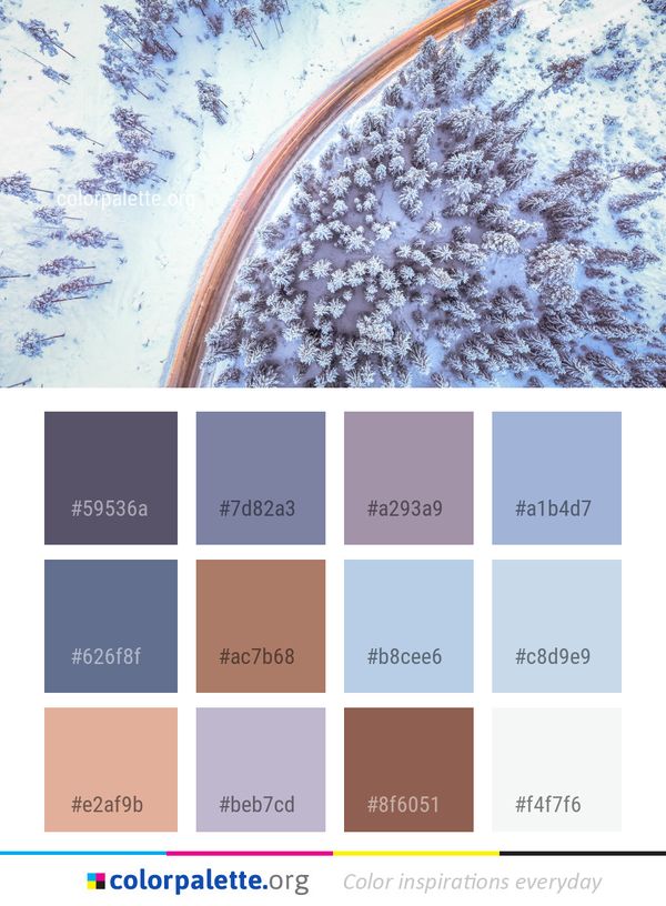 Winter Freezing Tree Color Palette