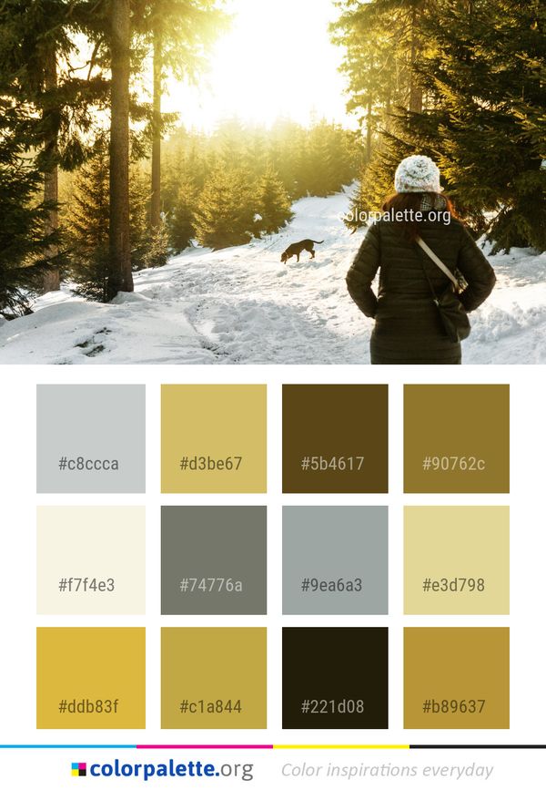 Winter Snow Nature Color Palette