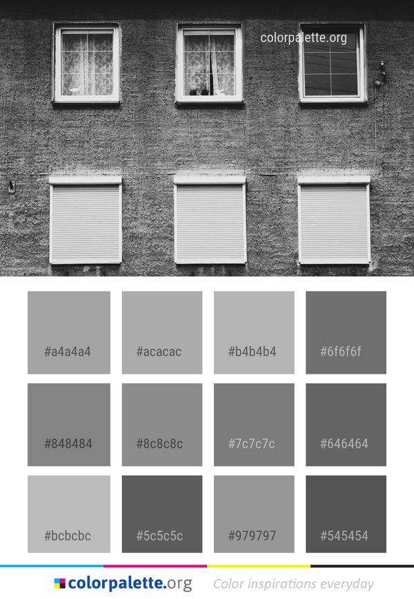 Black And White Wall Window Color Palette