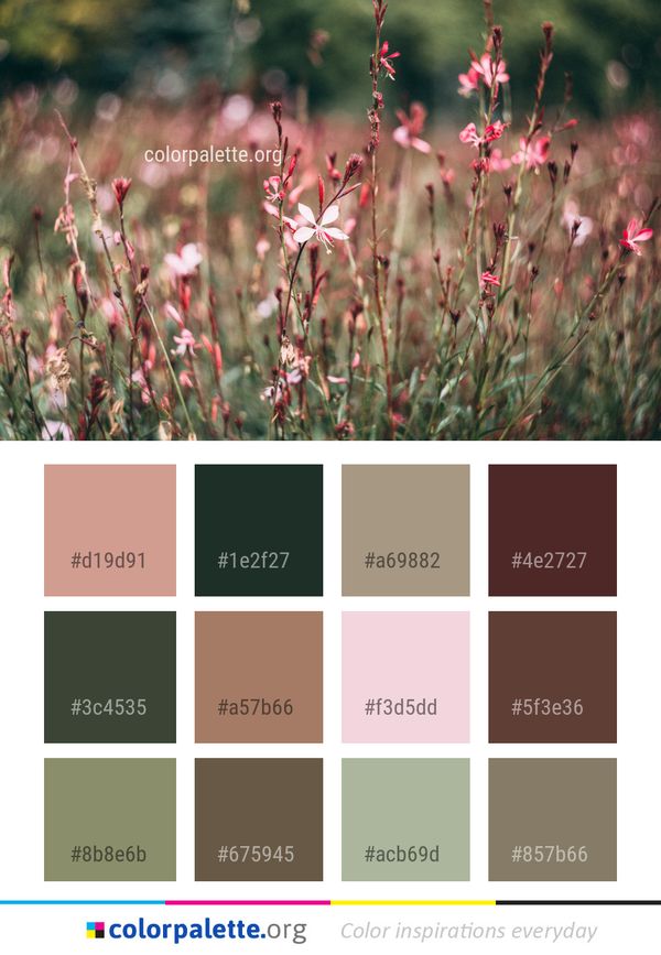 Flora Pink Plant Color Palette