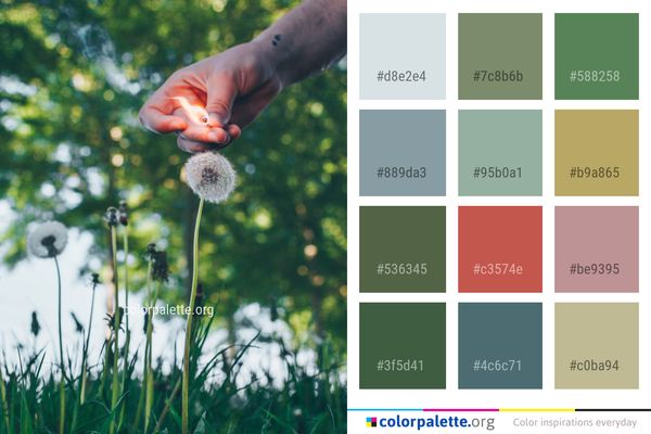 Flower Grass Plant Color Palette
