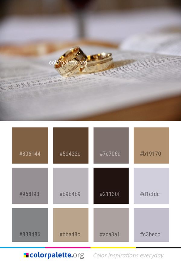 Jewellery Insect Macro Photography Color Palette