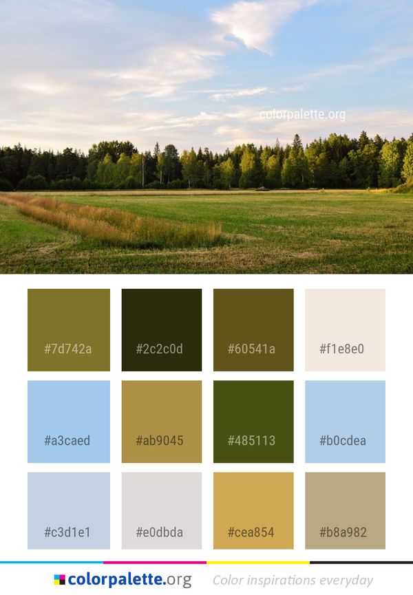 Sky Grassland Cloud Color Palette