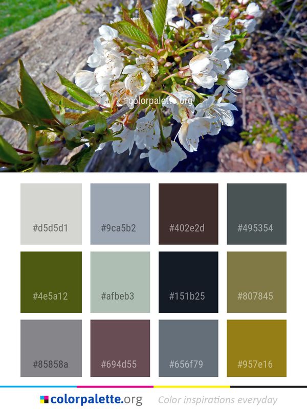 Spring Blossom Plant Color Palette