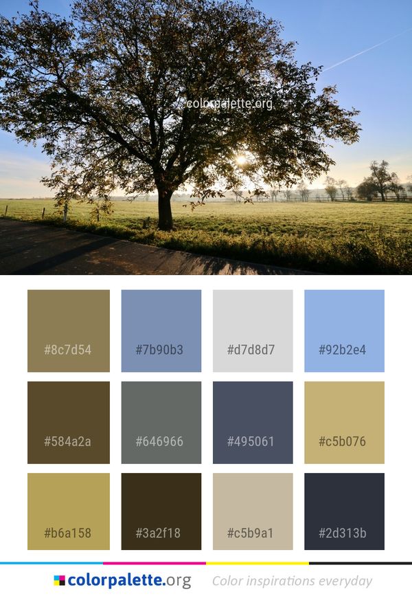 Tree Sky Field Color Palette