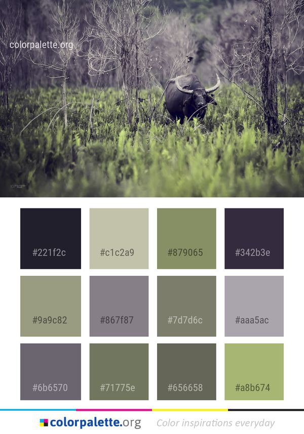 Wildlife Nature Woodland Color Palette