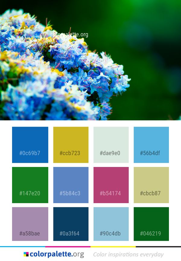 Blue Flower Lilac Color Palette