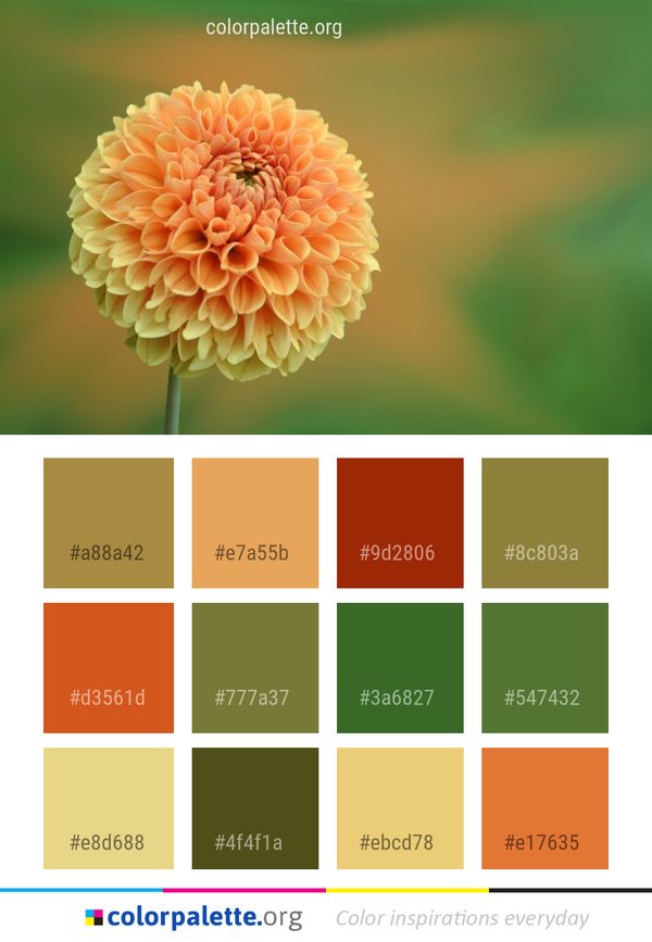 Flower Petal Close Up Color Palette