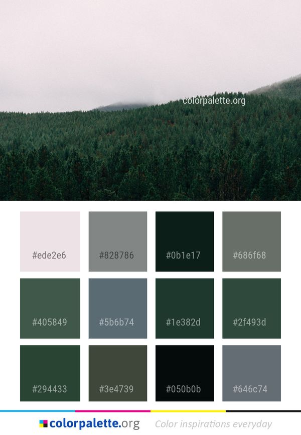 Green Vegetation Ecosystem Color Palette