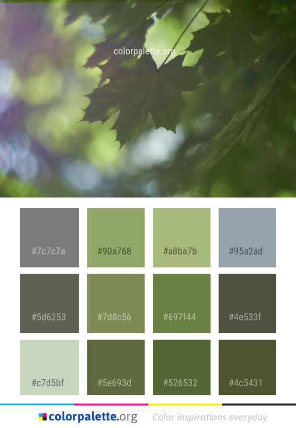 Leaf Green Vegetation Color Palette