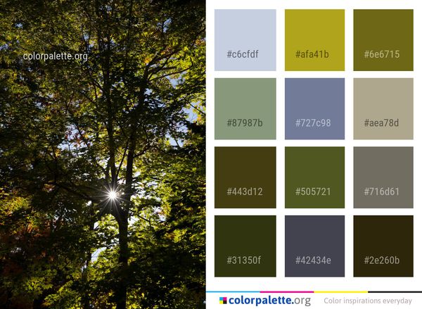 Leaf Nature Tree Color Palette