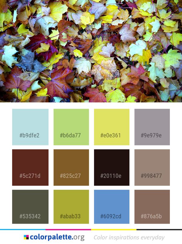 Leaf Yellow Autumn Color Palette