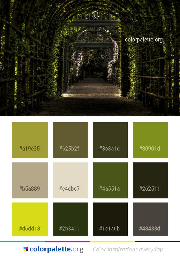 Nature Green Path Color Palette