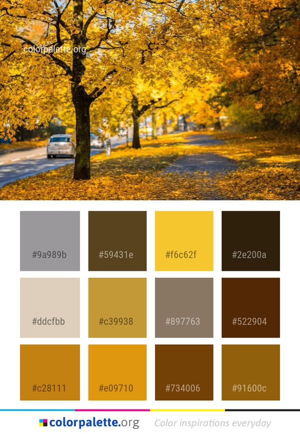 Nature Leaf Autumn Color Palette