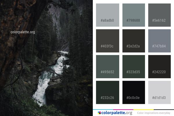 Nature Water Waterfall Color Palette