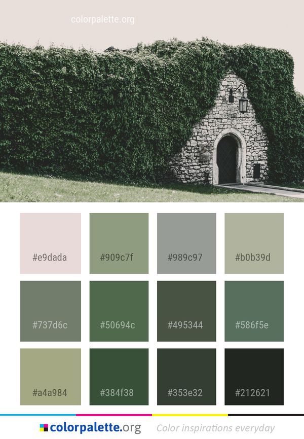 Plant Woody Hedge Color Palette