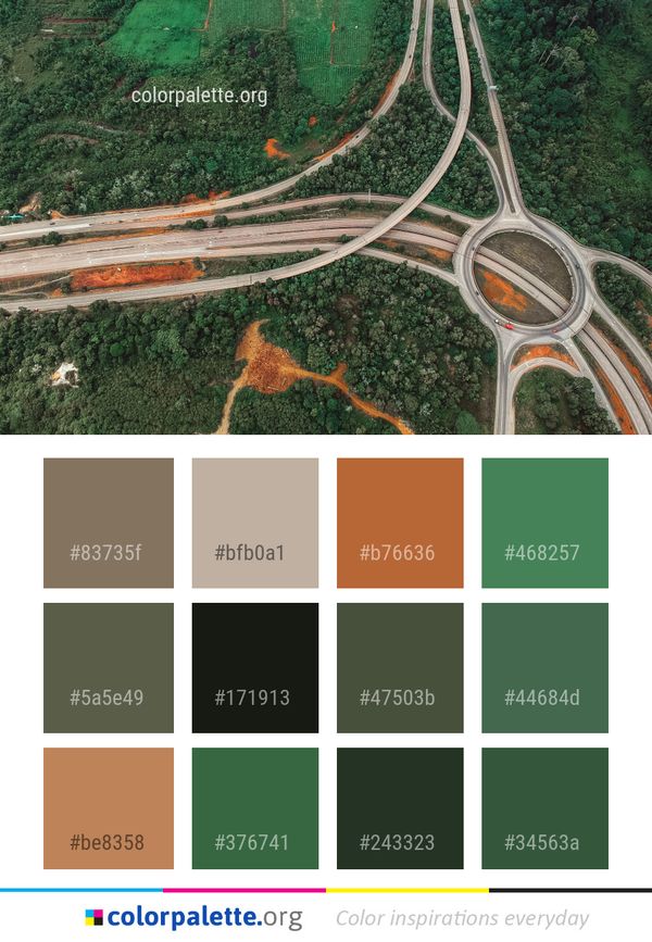 Road Aerial Photography Tree Color Palette