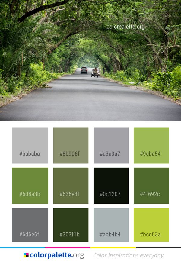 Road Vegetation Path Color Palette