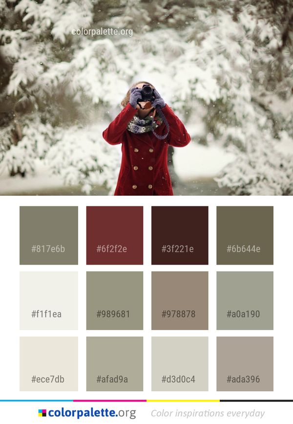 Snow Winter Tree Color Palette