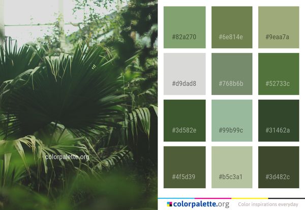 Vegetation Plant Leaf Color Palette