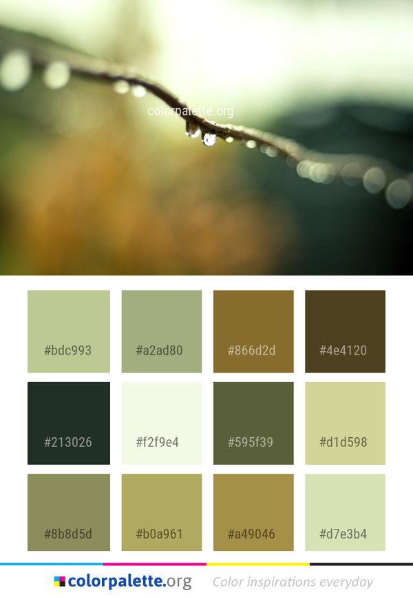 Water Moisture Dew Color Palette