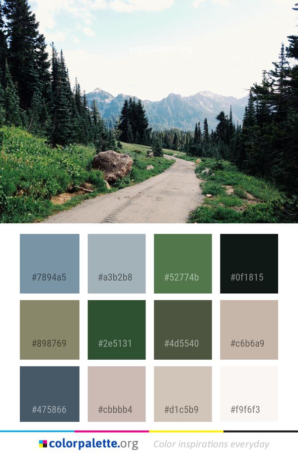 Wilderness Path Mountainous Landforms Color Palette