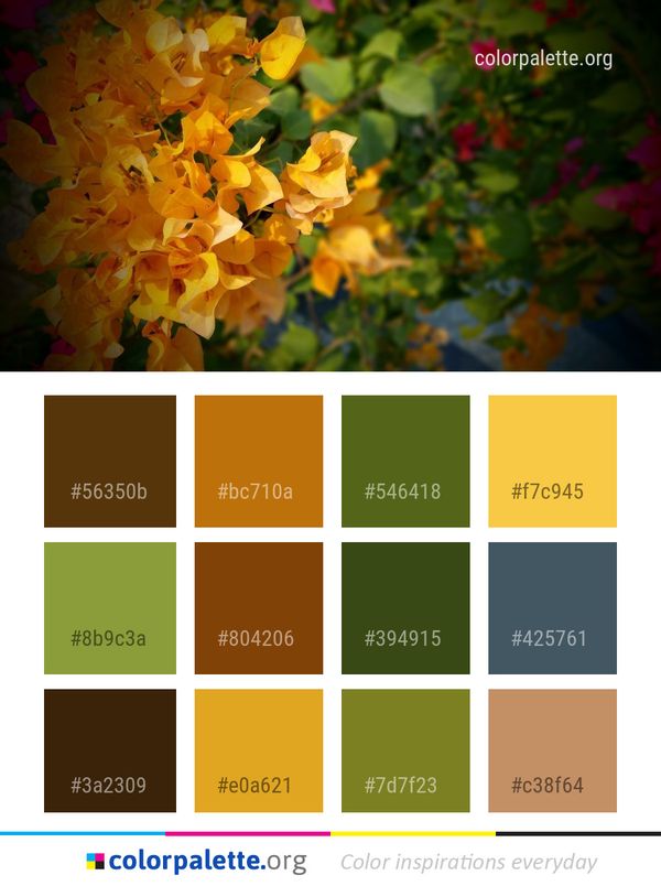 Yellow Nature Flower Color Palette