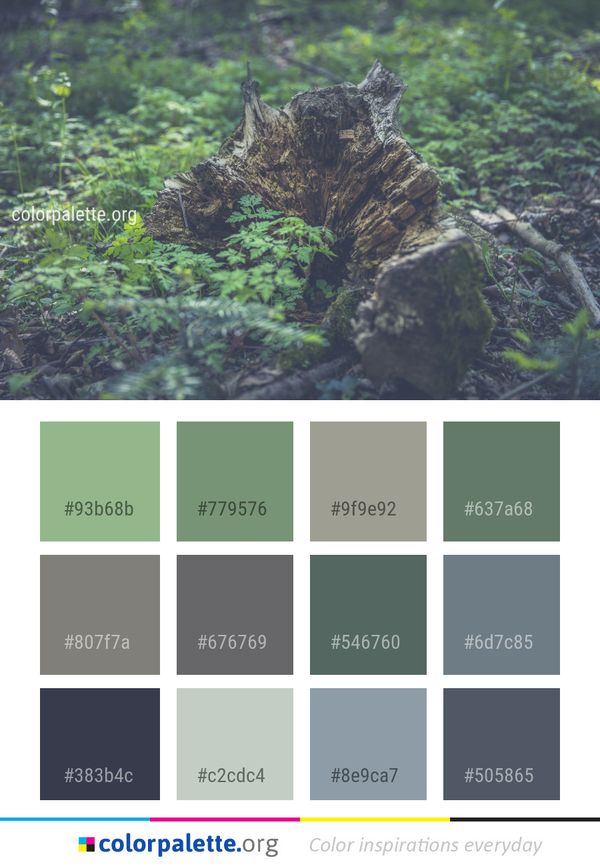 Ecosystem Tree Plant Color Palette