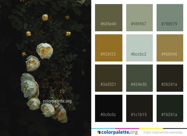 Flower Flora Still Life Photography Color Palette