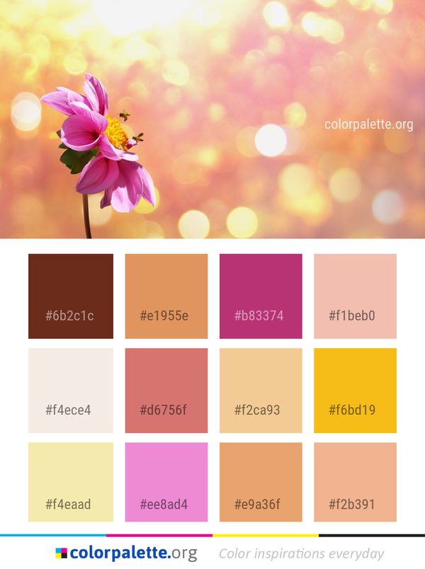 Flower Pink Blossom Color Palette