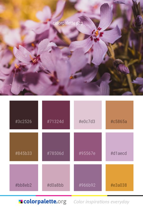 Flower Pink Spring Color Palette