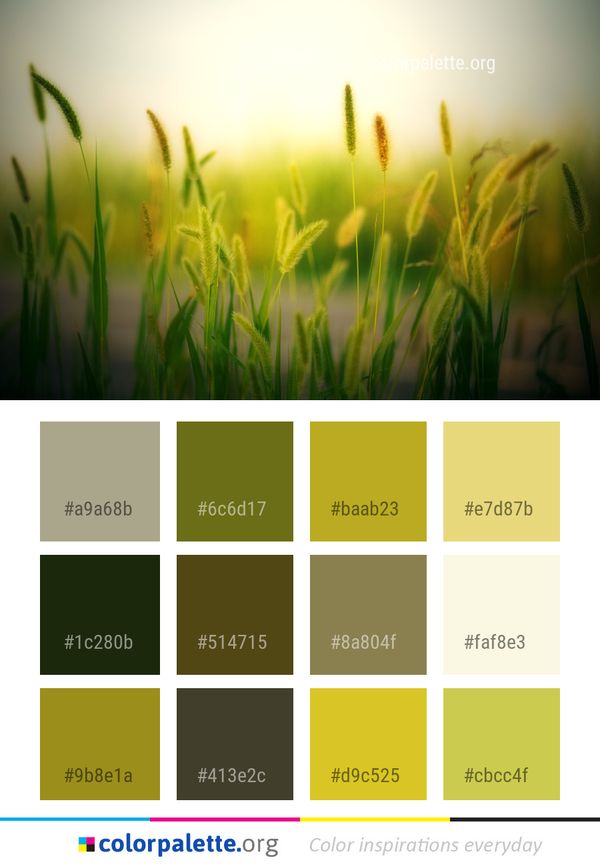 Grass Close Up Family Color Palette
