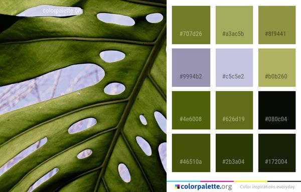 Green Leaf Water Color Palette