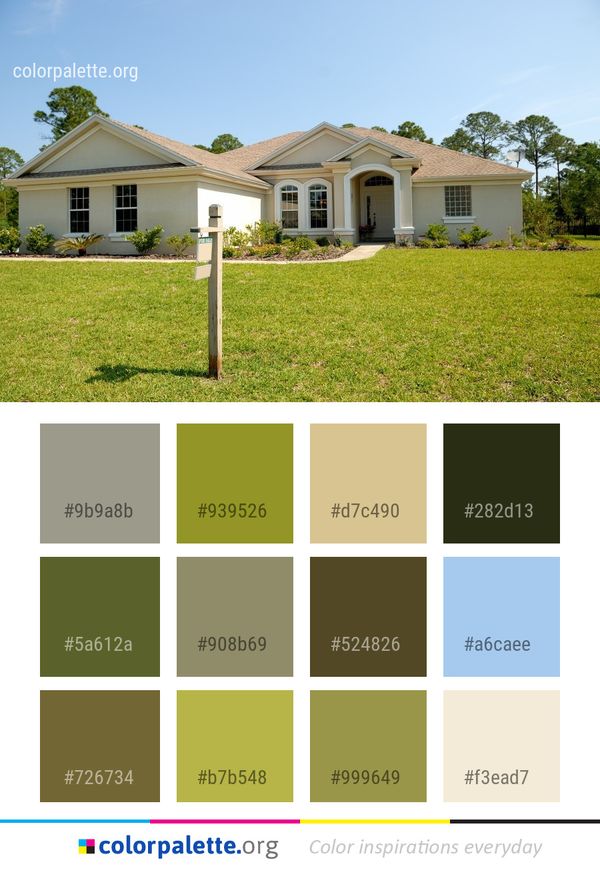 Home House Property Color Palette