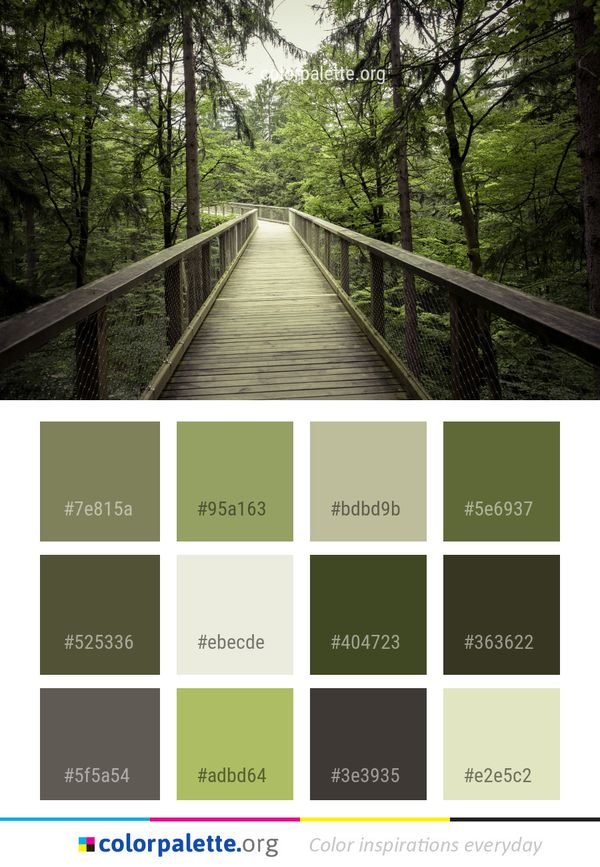 Nature Path Reserve Color Palette