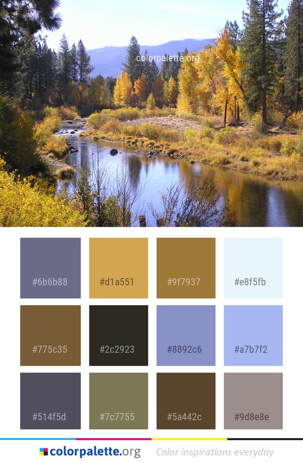Nature Wilderness Ecosystem Color Palette