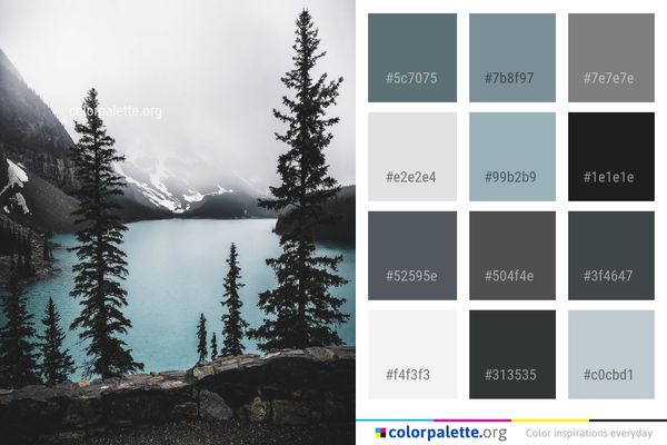 Nature Wilderness Tree Color Palette