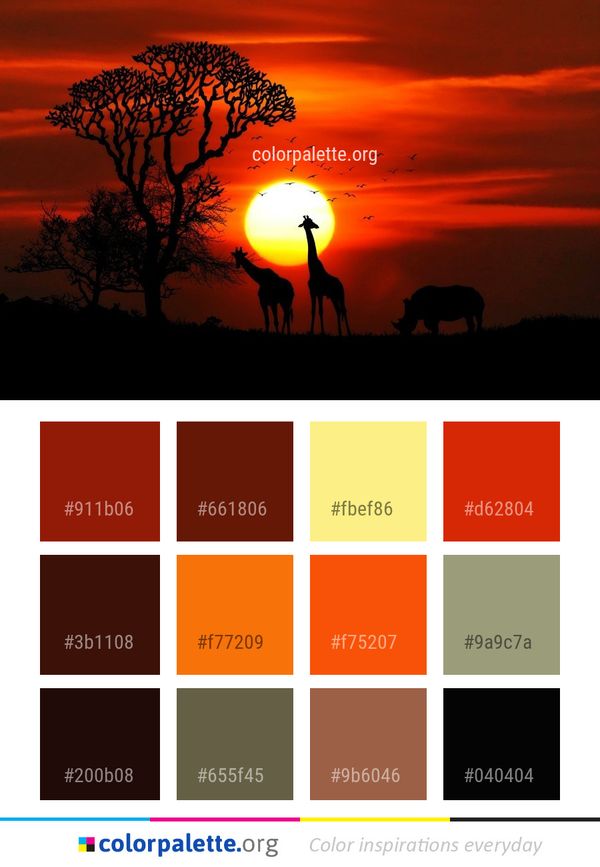 Sky Savanna Sunset Color Palette