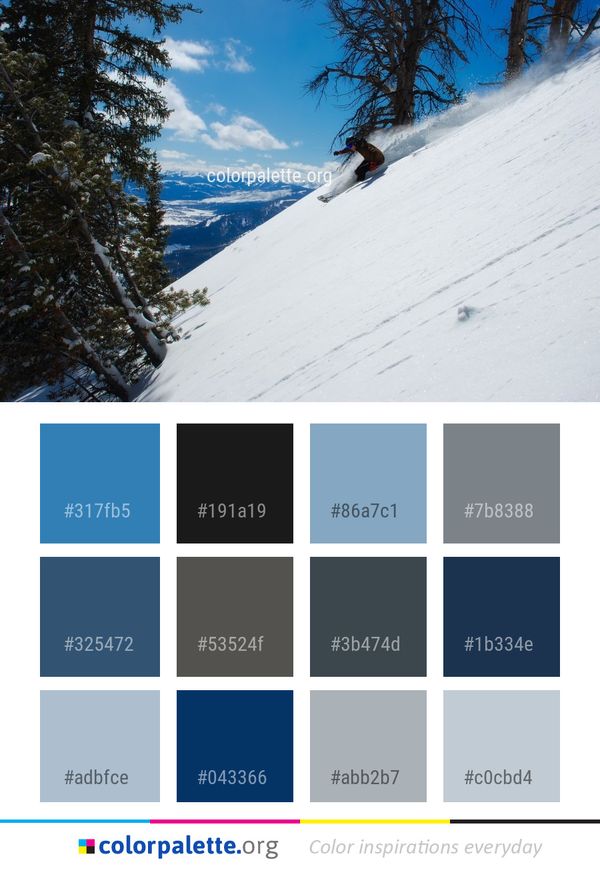 Snow Ridge Winter Color Palette